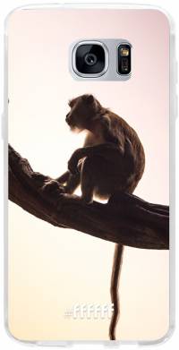 Macaque Galaxy S7 Edge