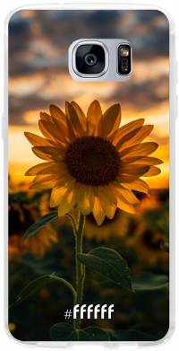 Sunset Sunflower Galaxy S7 Edge