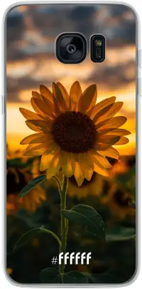 Sunset Sunflower Galaxy S7 Edge