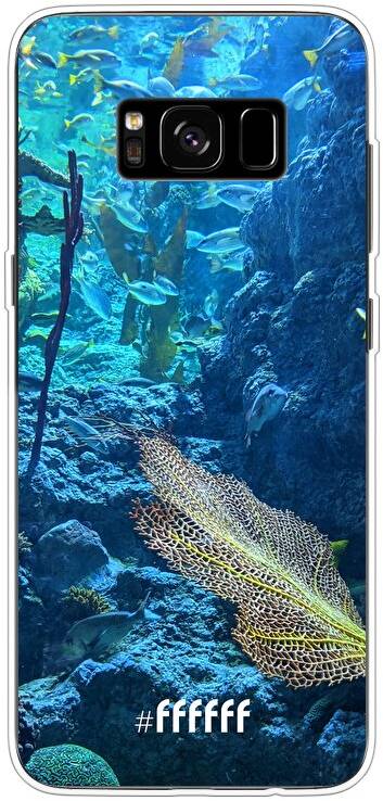 Coral Reef Galaxy S8
