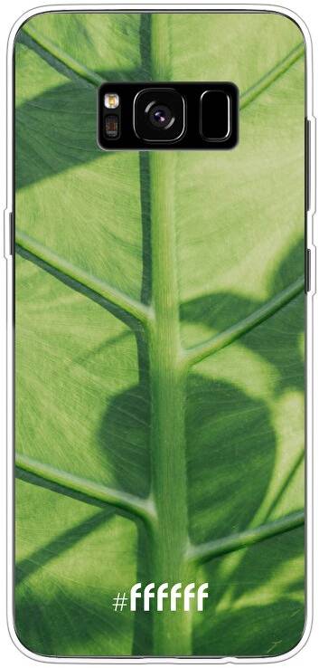 Leaves Macro Galaxy S8