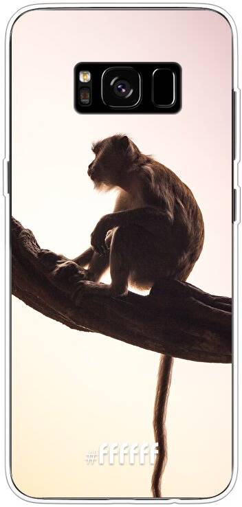 Macaque Galaxy S8