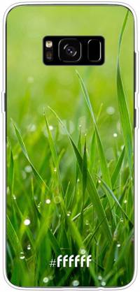 Morning Dew Galaxy S8