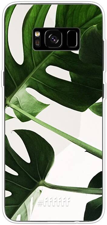 Tropical Plants Galaxy S8