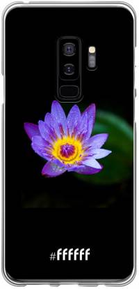 Purple Flower in the Dark Galaxy S9 Plus