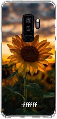 Sunset Sunflower Galaxy S9 Plus