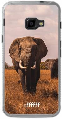 Elephants Galaxy Xcover 4