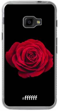 Radiant Rose Galaxy Xcover 4