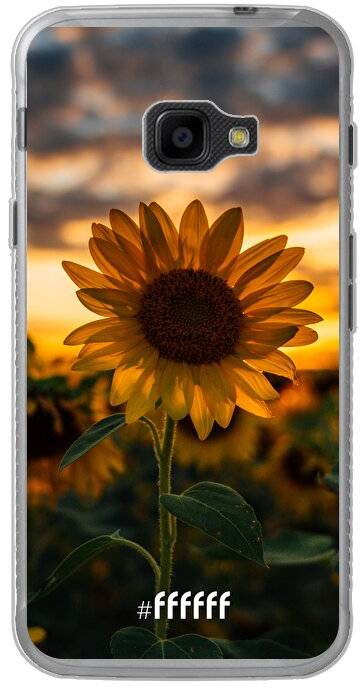 Sunset Sunflower Galaxy Xcover 4