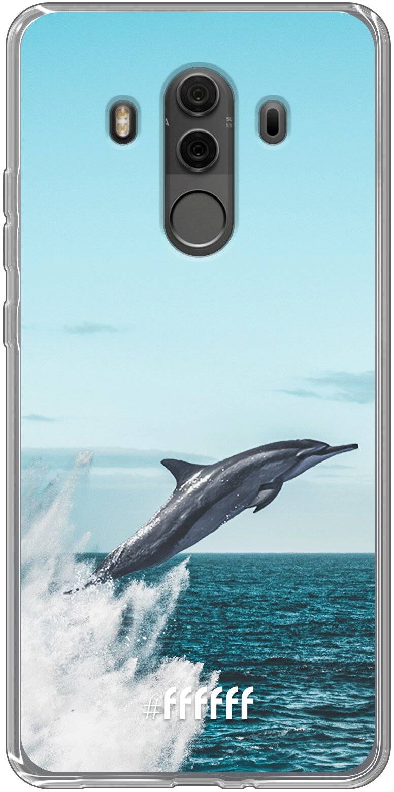 Dolphin Mate 10 Pro
