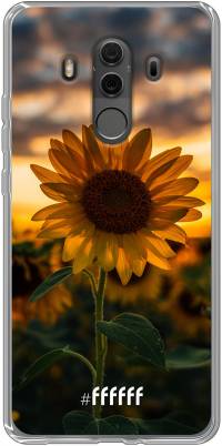 Sunset Sunflower Mate 10 Pro