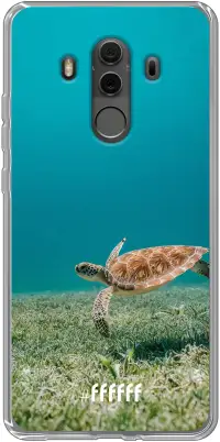 Turtle Mate 10 Pro