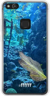 Coral Reef P10 Lite