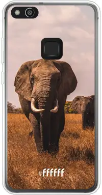 Elephants P10 Lite