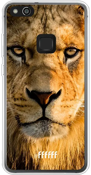 Leo P10 Lite