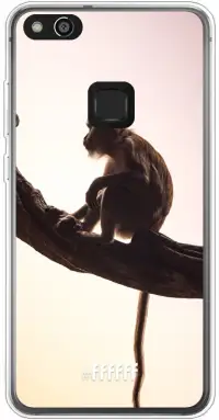 Macaque P10 Lite