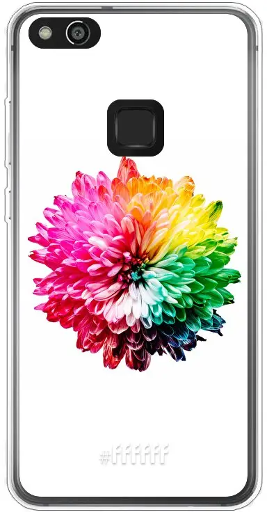 Rainbow Pompon P10 Lite