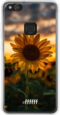 Sunset Sunflower P10 Lite