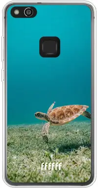 Turtle P10 Lite