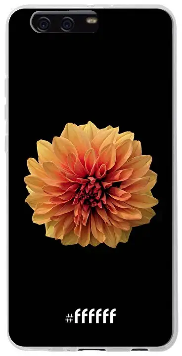 Butterscotch Blossom P10 Plus