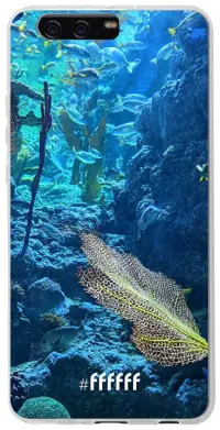 Coral Reef P10 Plus