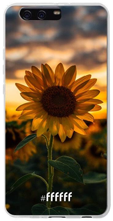 Sunset Sunflower P10 Plus