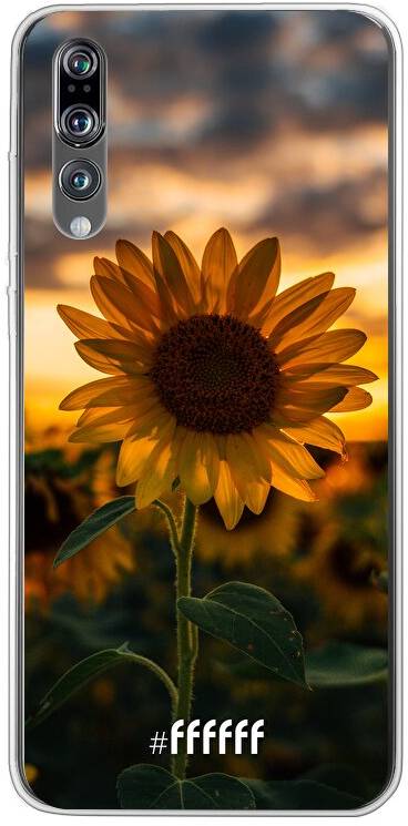 Sunset Sunflower P20 Pro