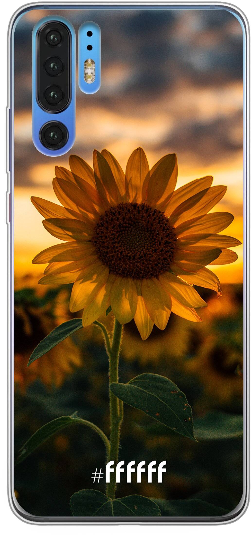 Sunset Sunflower P30 Pro