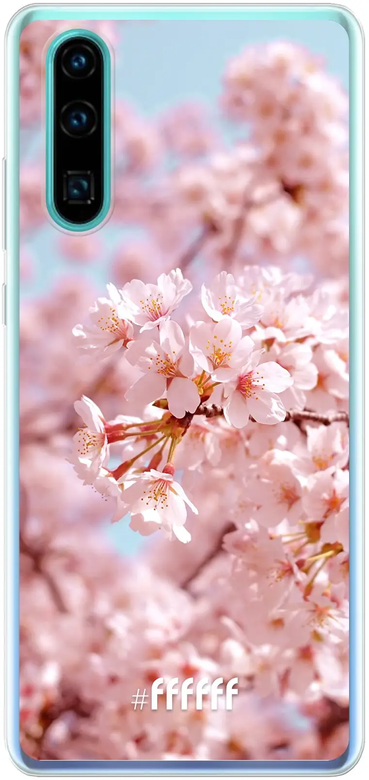 Cherry Blossom P30