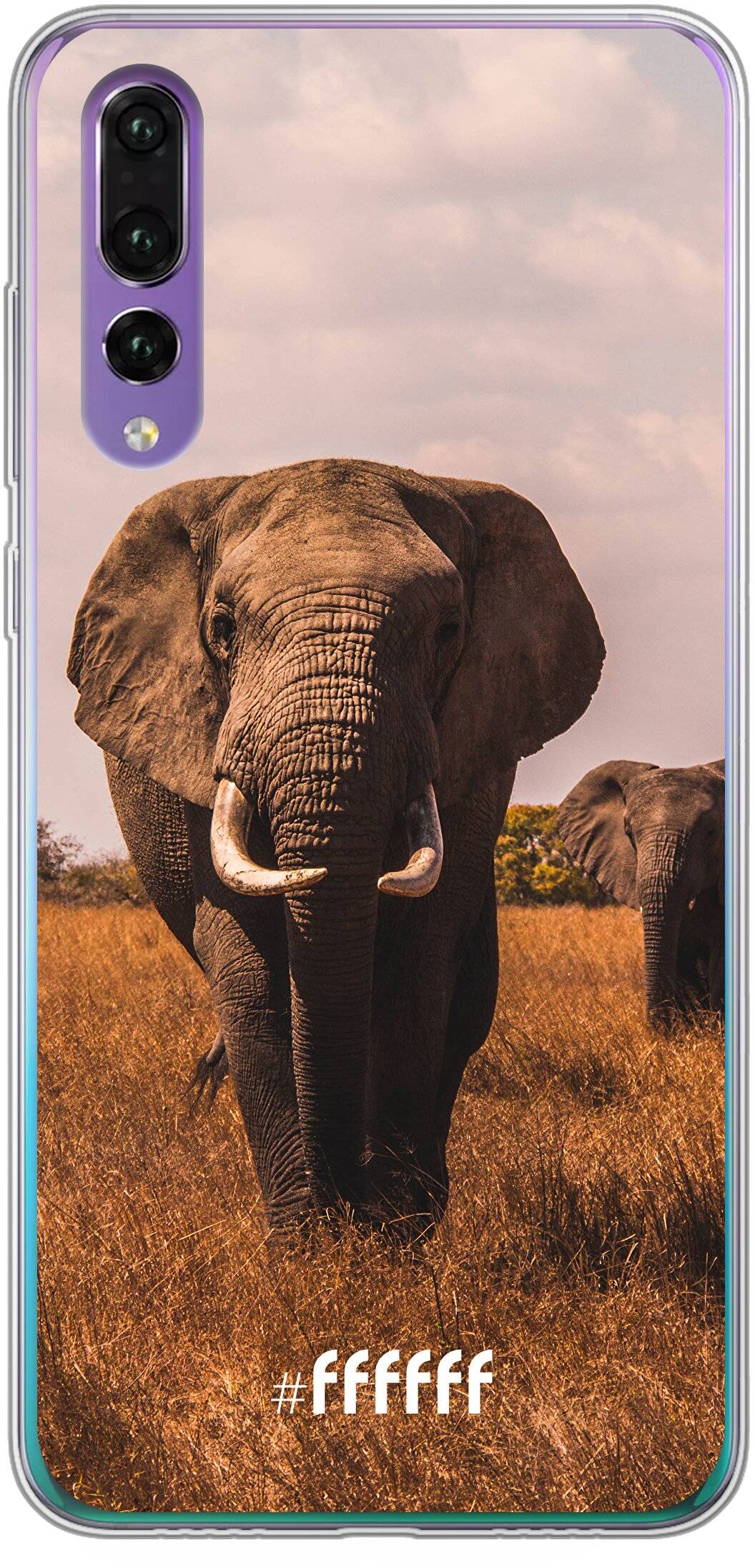 Elephants P30