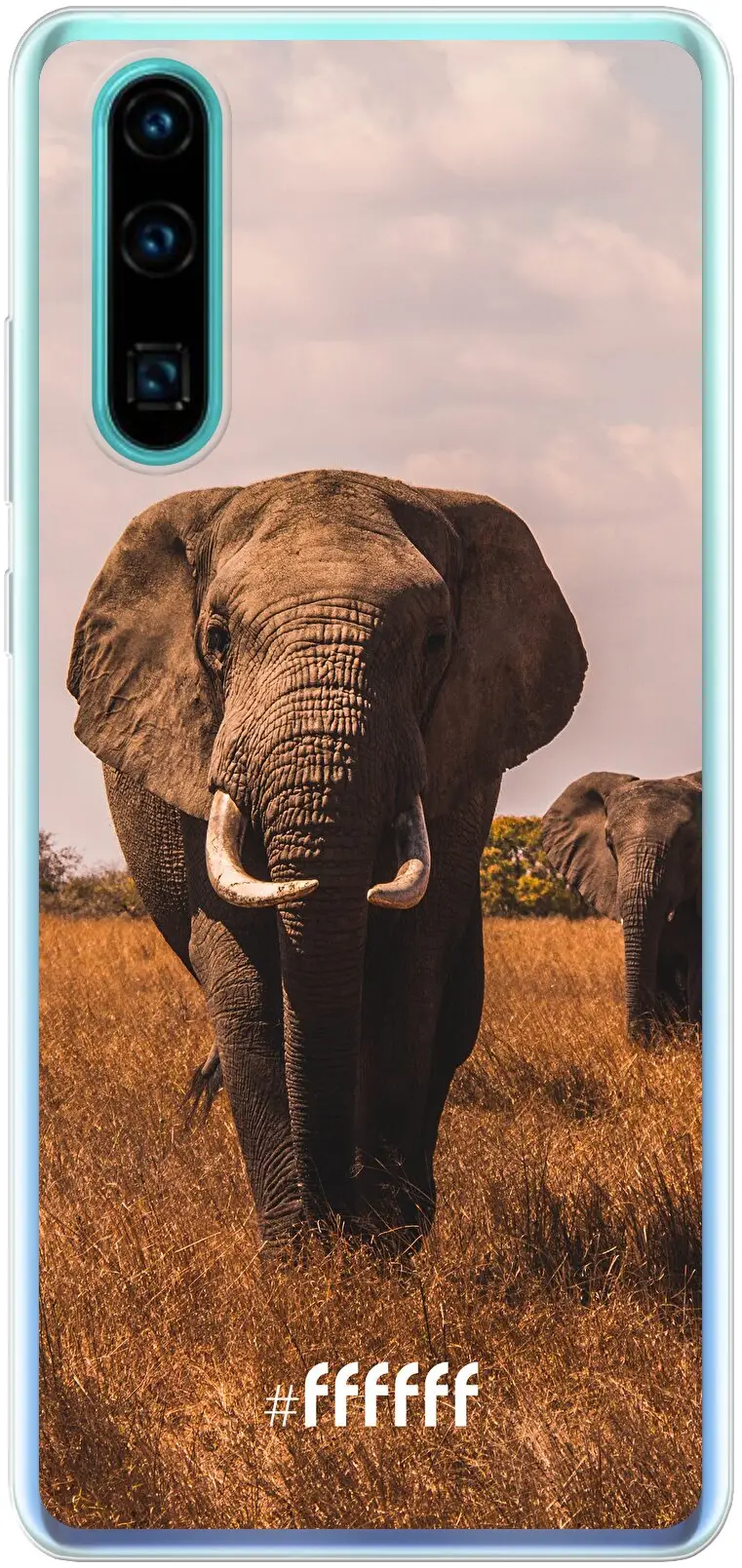 Elephants P30