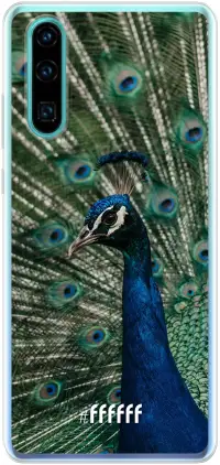 Peacock P30