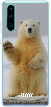 Polar Bear P30