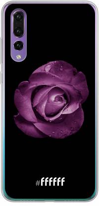 Purple Rose P30