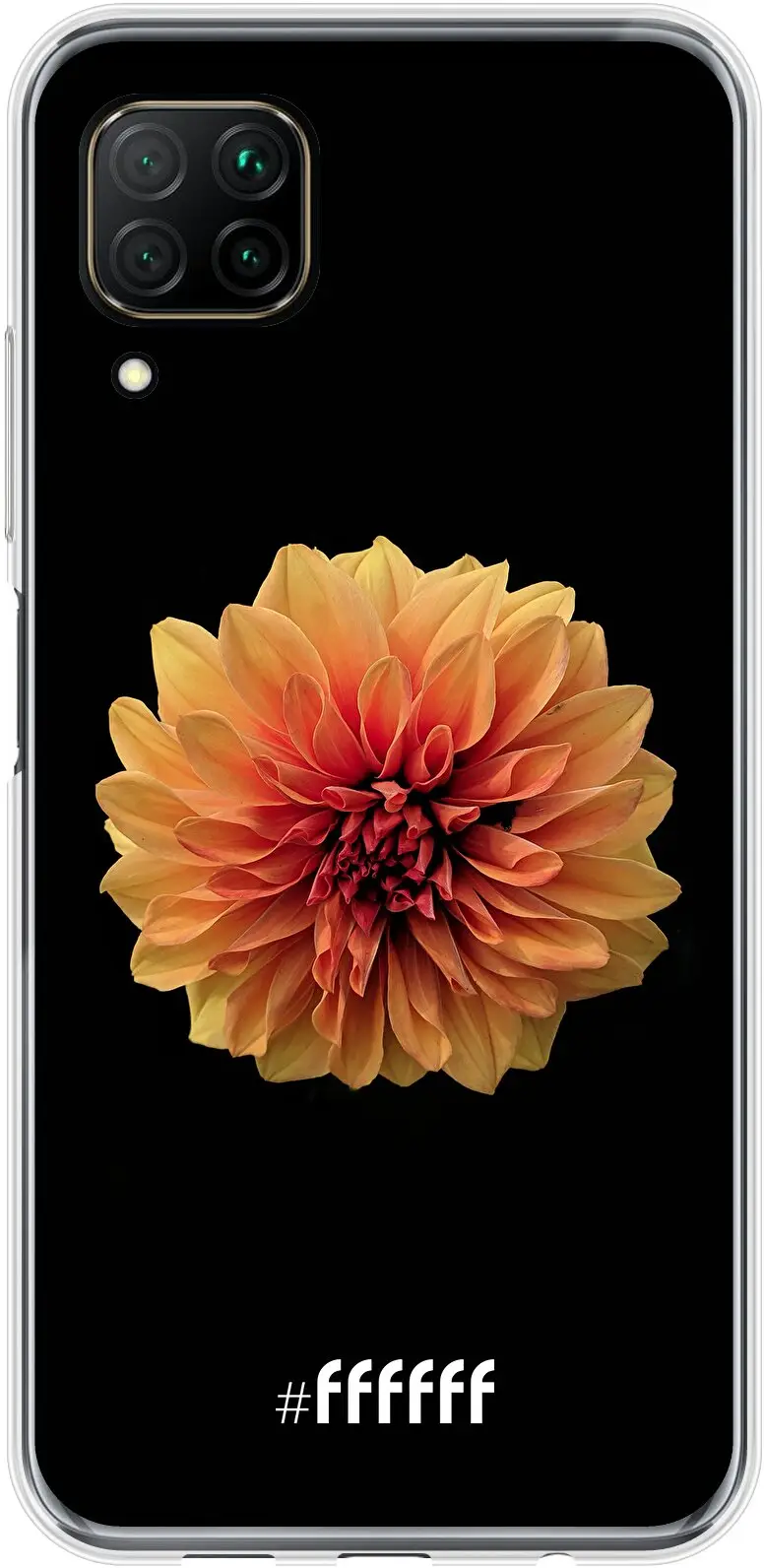 Butterscotch Blossom P40 Lite