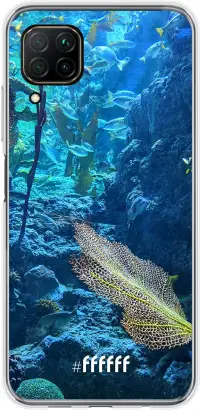 Coral Reef P40 Lite