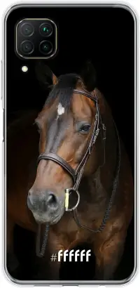 Horse P40 Lite