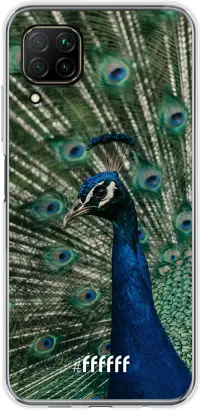 Peacock P40 Lite