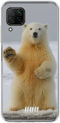 Polar Bear P40 Lite