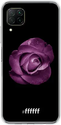 Purple Rose P40 Lite