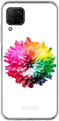 Rainbow Pompon P40 Lite