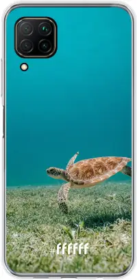 Turtle P40 Lite