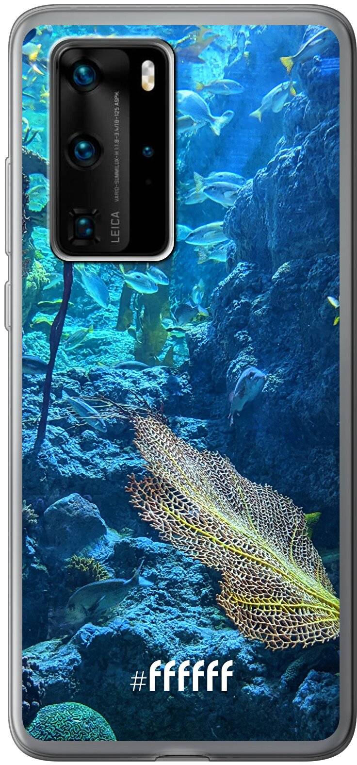 Coral Reef P40 Pro