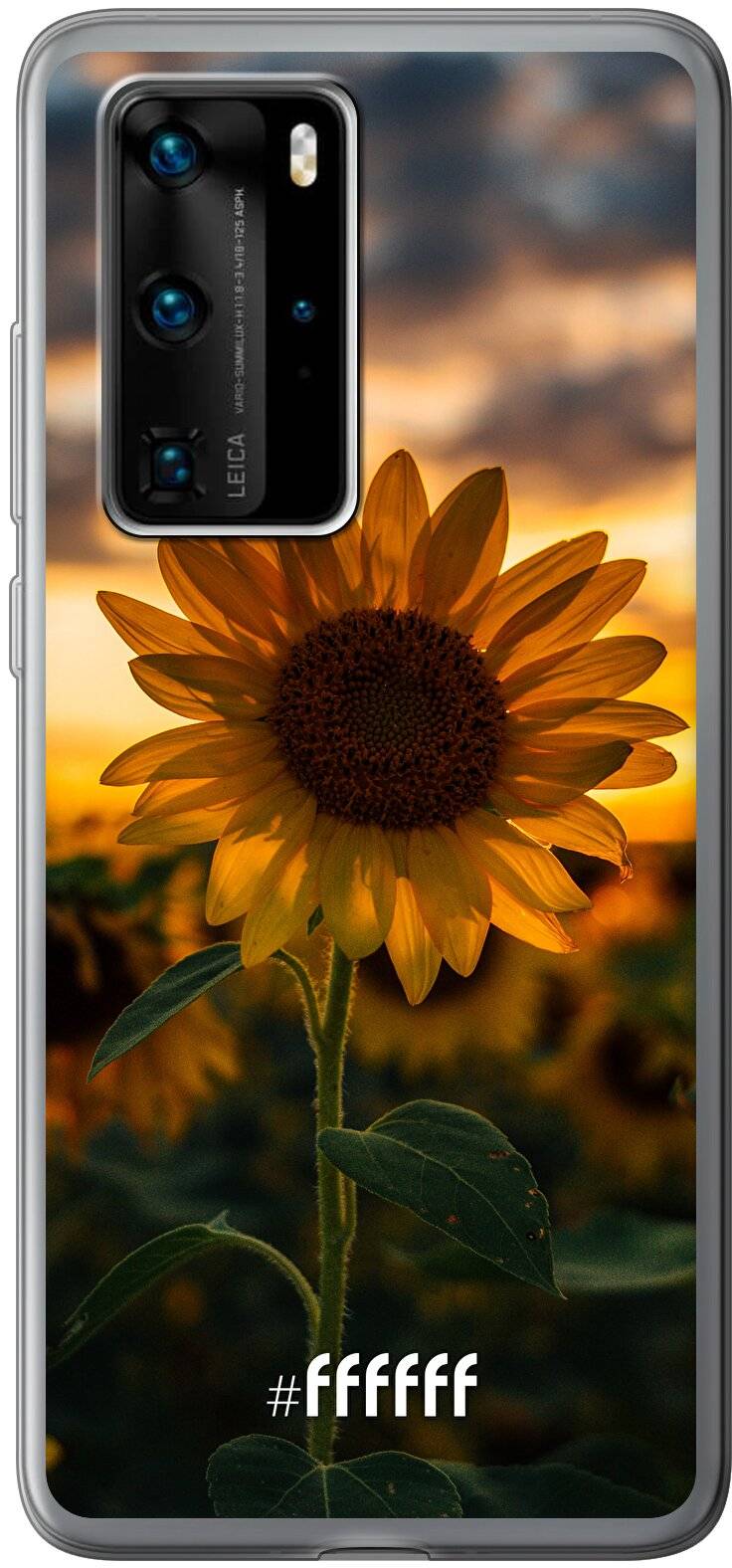 Sunset Sunflower P40 Pro