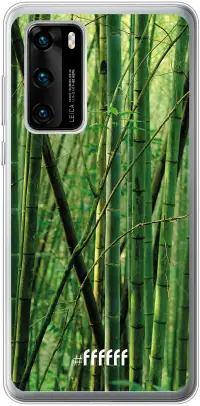 Bamboo P40