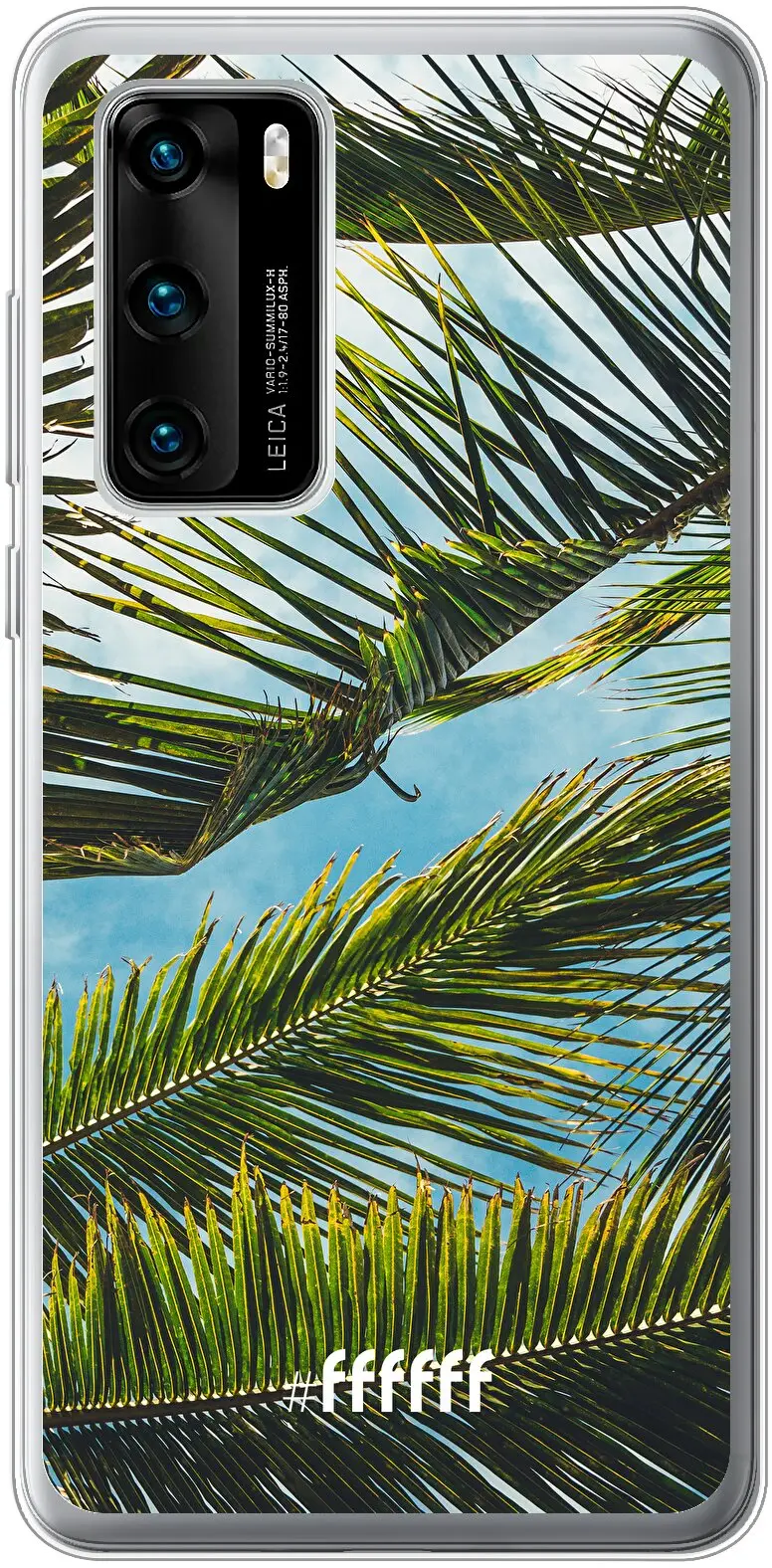 Palms P40