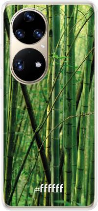 Bamboo P50 Pro