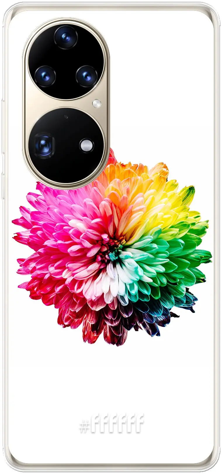 Rainbow Pompon P50 Pro