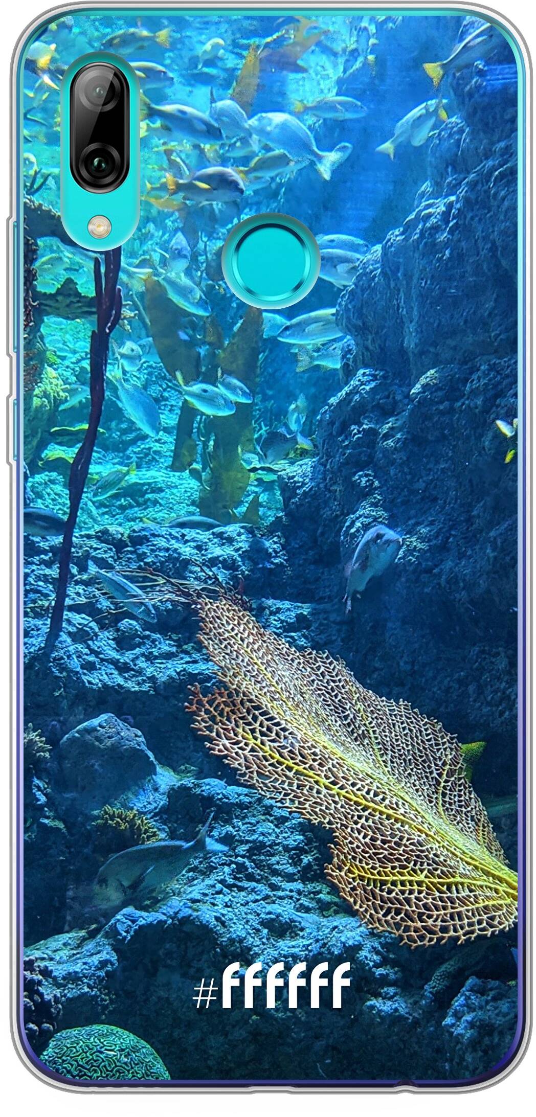 Coral Reef P Smart (2019)