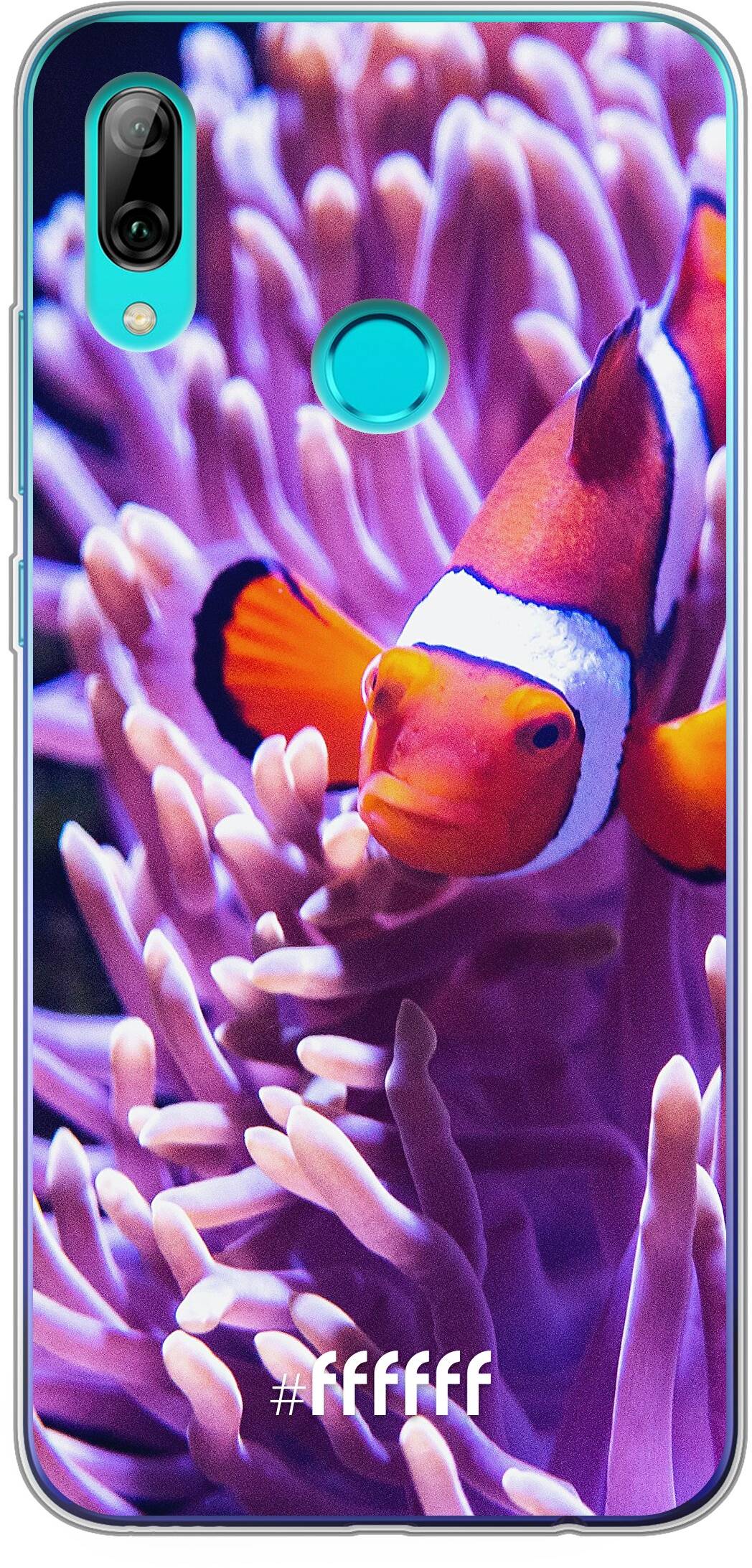 Nemo P Smart (2019)